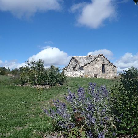 Вилла Chapelle Du Domaine De Bombes Saint-Rome-de-Dolan Экстерьер фото